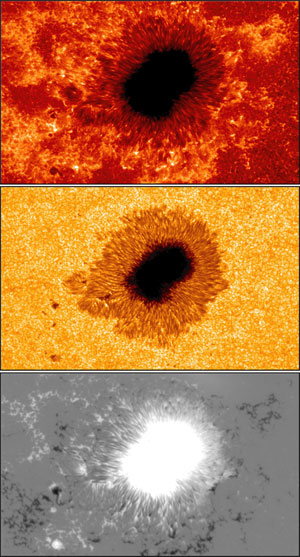 太陽黒点の詳細画像