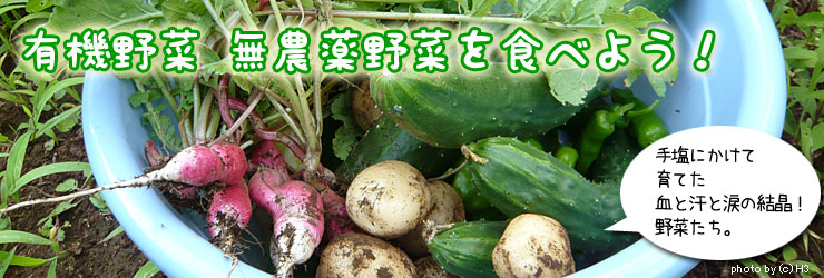 有機野菜 無農薬野菜を食べよう！有機と無農薬の野菜を販売・宅配しているお店も紹介！