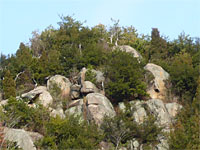 向島の奇岩2