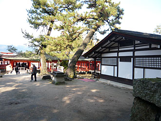 宮島厳島神社の裏側4