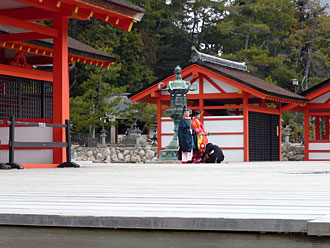 宮島の厳島神社神殿での挙式1