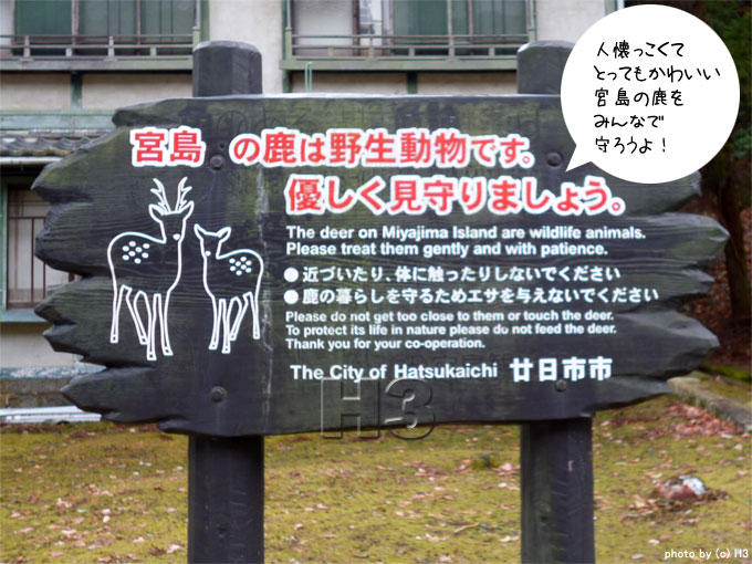 安芸の宮島に住んでいる鹿を守るための立て看板